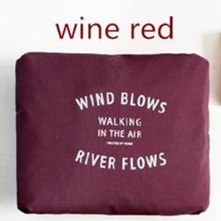 Travel Bag and Clothes Organizer